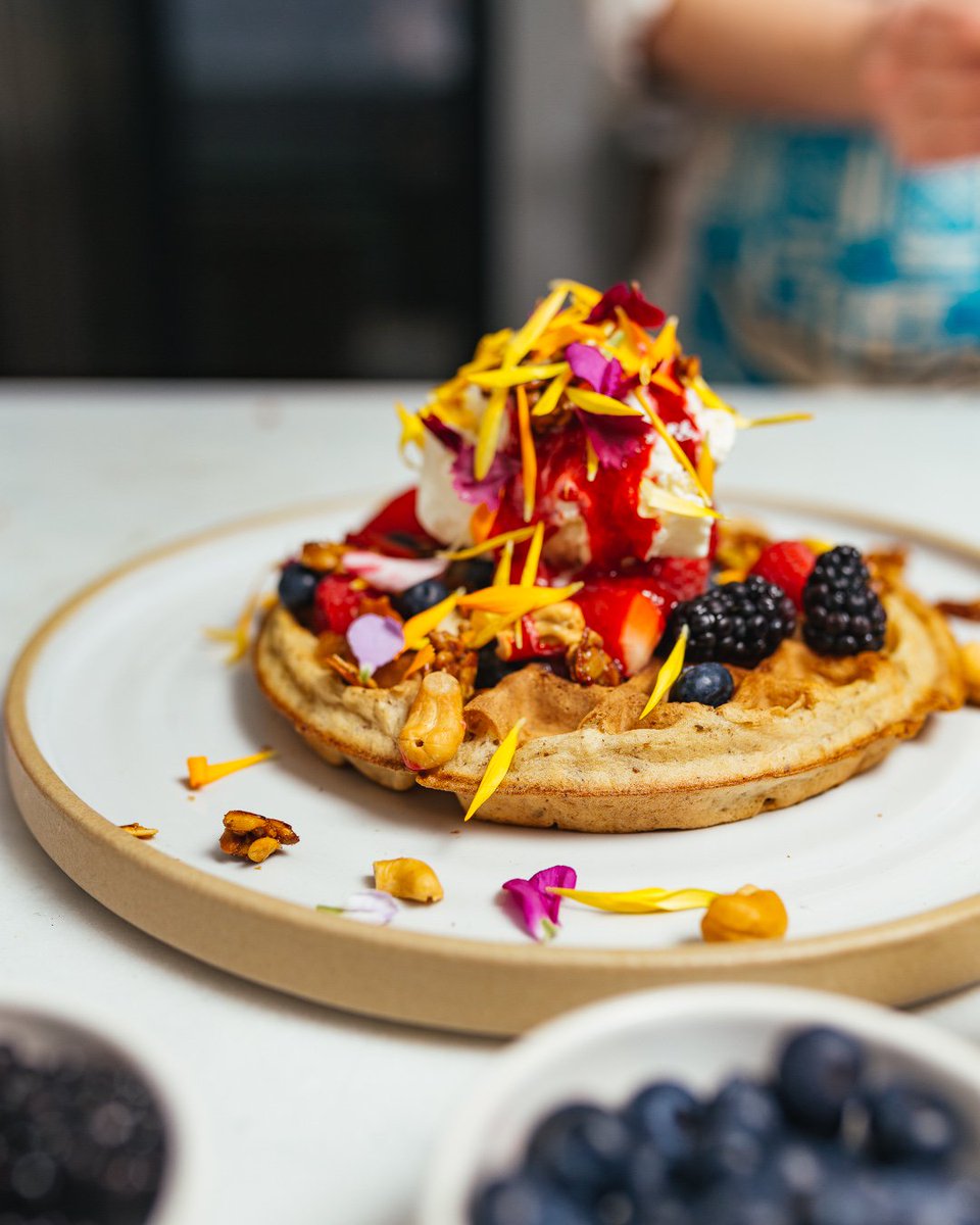 Fresh Kitchen + Juice Bar tweet media