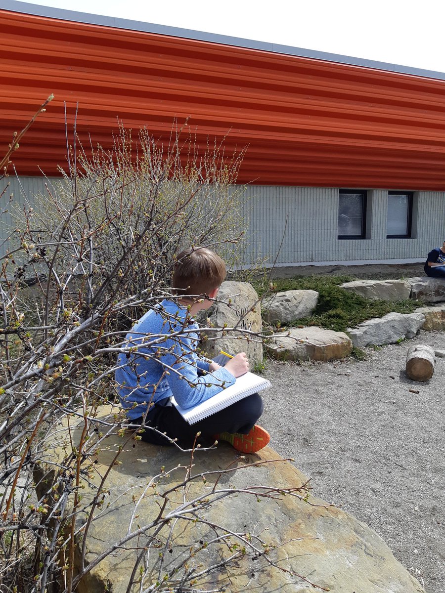 Ms_RNanji's tweet photo. Finding inspiration in Nature's Place for our poems! https://t.co/PuiDGN4LJ6