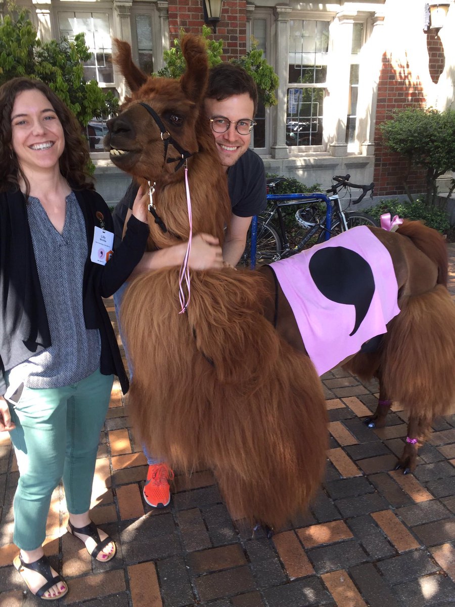 lilscientista's tweet image. #FrictionlessData team meets the #CommaLlama at #csvconf (cc @OKFN) 💜🦙💜🦙