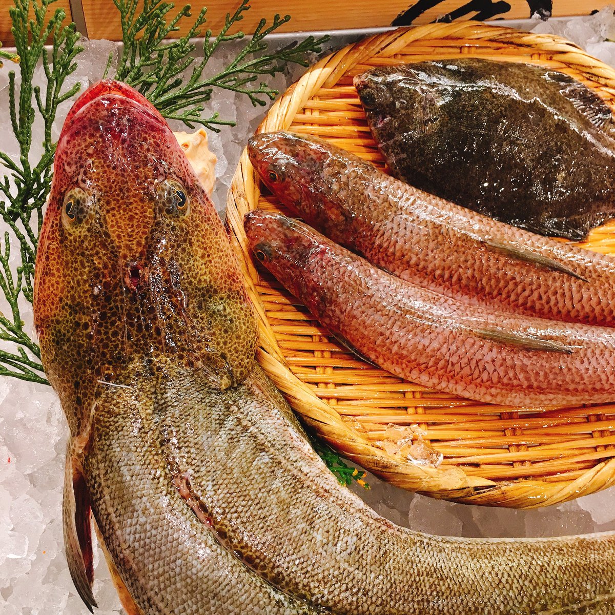 ひろしまブランドショップ Tau 本日も1階の鮮魚コーナーに新鮮な瀬戸内の鮮魚が届いています 5月9日の魚種は 鯛 チヌ カサゴ 真子鰈 メイタガレイ ヒラメ 石鯛 マナガツオ カワハギ ねぶと エソ コチ アコウ あさり などなど 瀬戸内 鮮魚