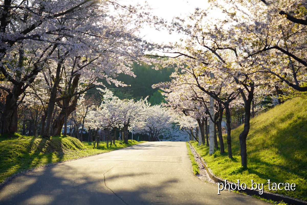 東明公園 東明公園