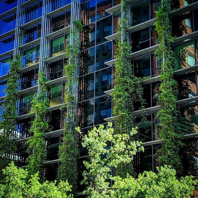 This is as Portland as it gets.

#teampixel3 #organicbuilding #teampixel #highrise #portland #downtownportland #greenhousing bit.ly/2VSREPD