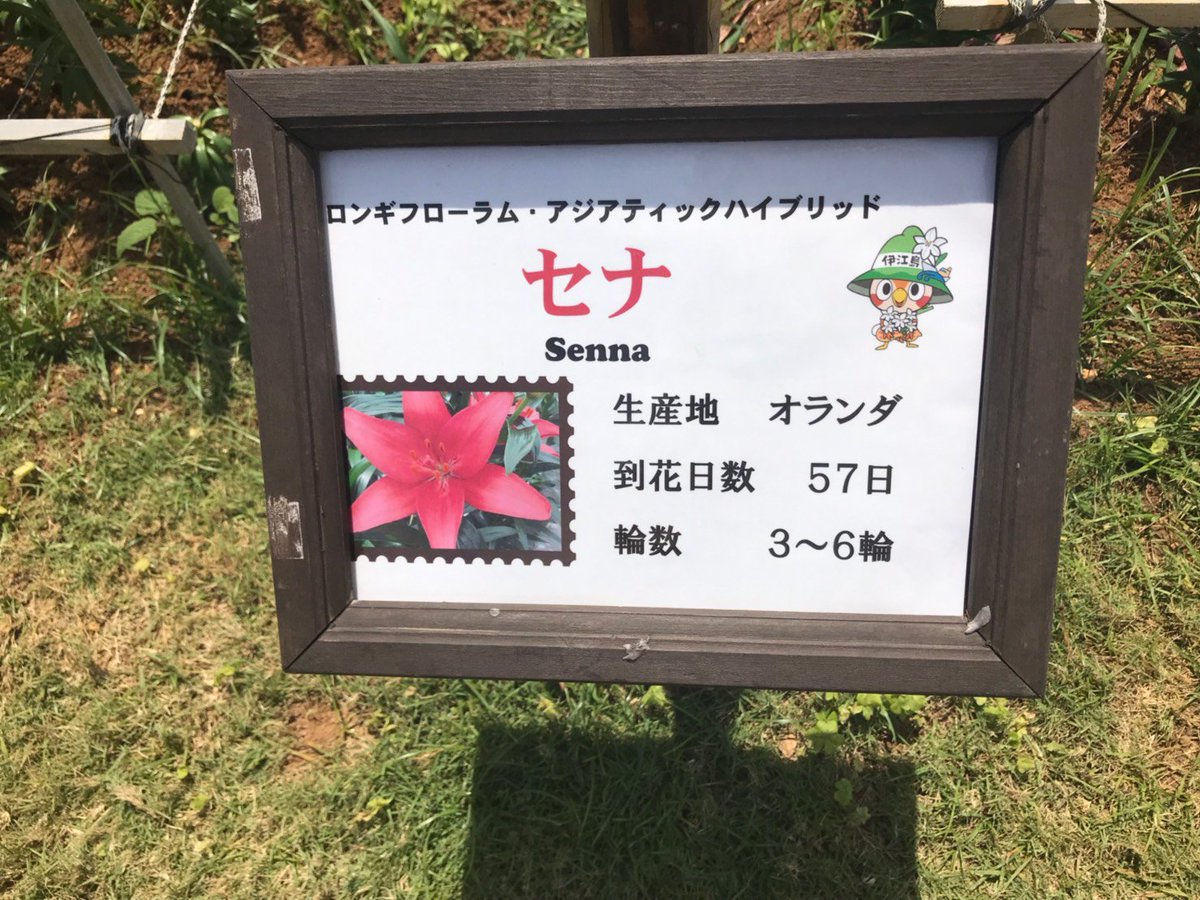 sena⭐︎ページです。 PROJECT SEKAI - Opera! Space Opera! (Dance Cover) - YouTube