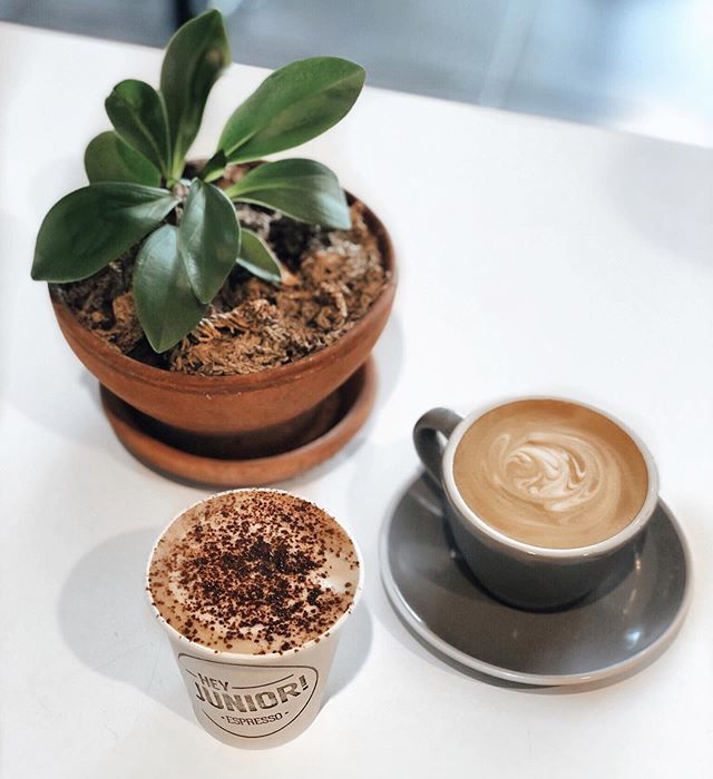 heyjunioresprso's tweet photo. Whether you’re popping in or running out, we have the best coffee for you @ Hey Junior 🙌🏼☕️
.
.
.
.
.
.
.
.
.
.
.
.
.
.
.
.
.
.
.
#coffee #coffeefix #caffeine #fuel #cappuccino #flatwhite #latte #latteart #espresso #macchiato #longblack #icedamericano #i… https://t.co/UZnjDWDWho https://t.co/p3adOcN8E7