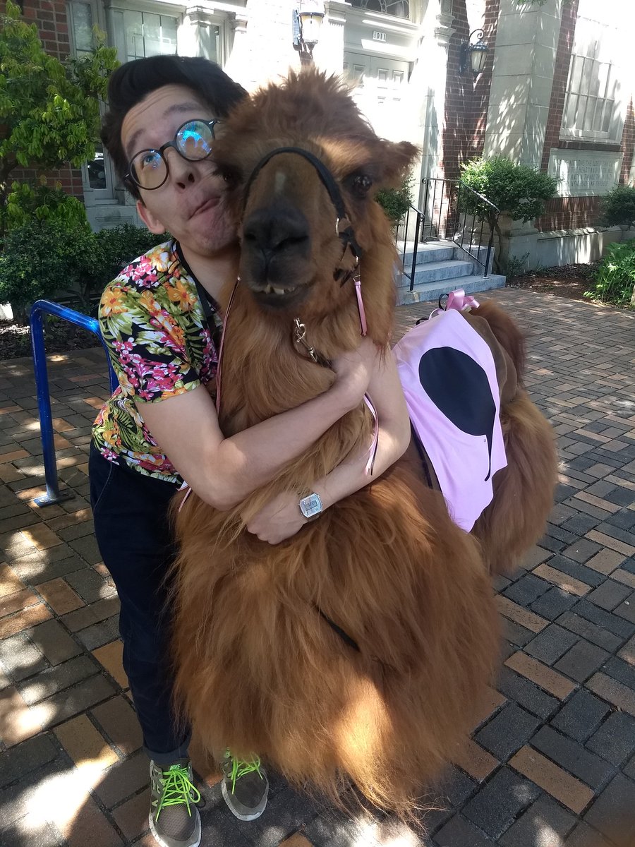 bubblbu_'s tweet image. don&apos;t like posting non-weird photos myself... but will make an exception for @RojoTheLlama #commallama #csvconf