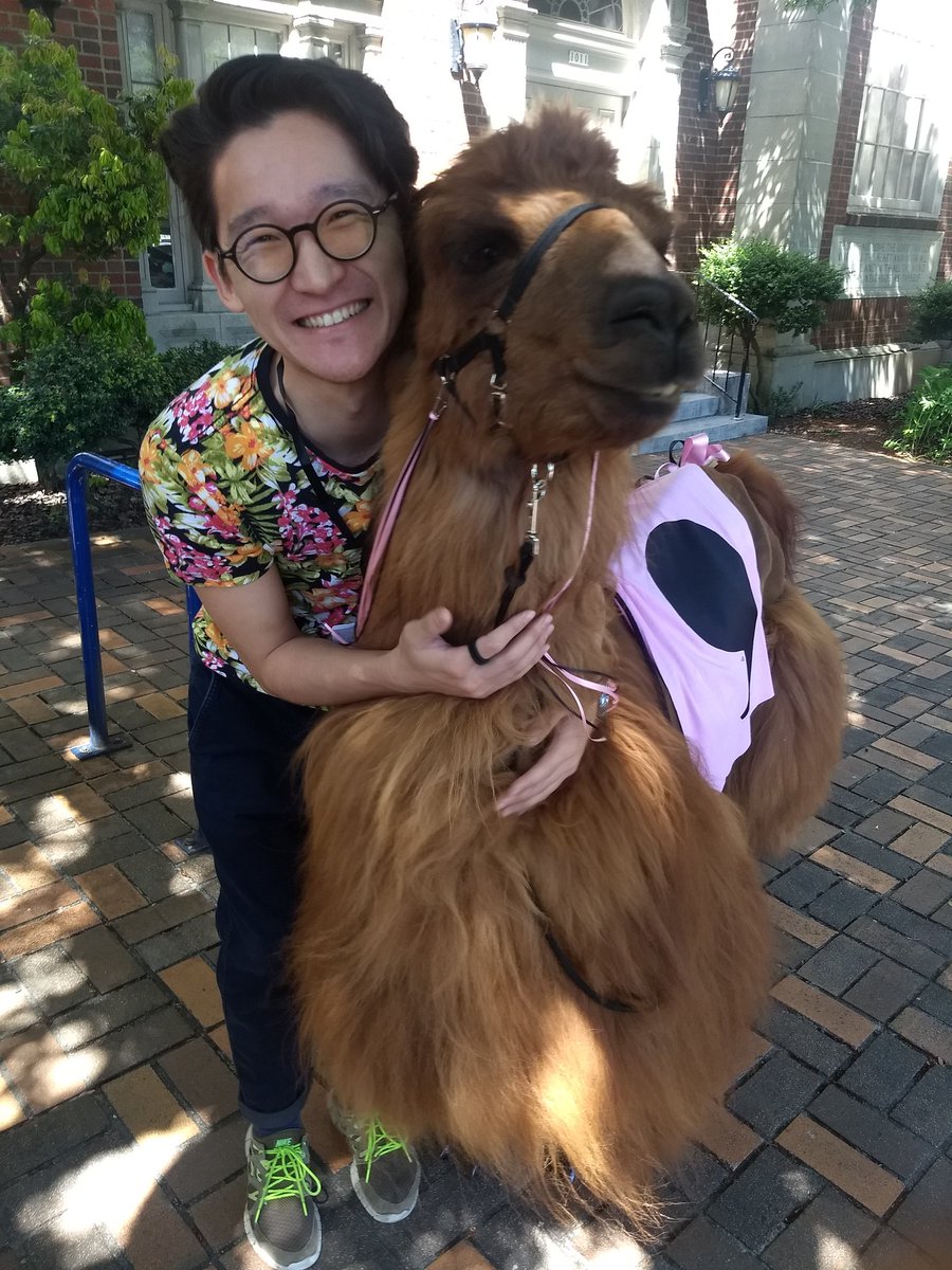 bubblbu_'s tweet image. don&apos;t like posting non-weird photos myself... but will make an exception for @RojoTheLlama #commallama #csvconf