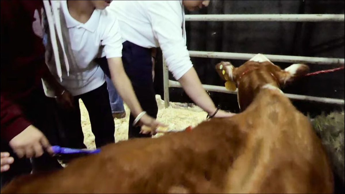 TEAM T&J tweet media