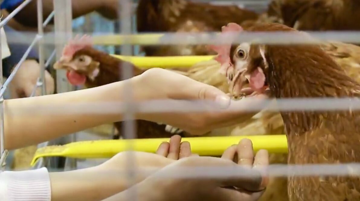 TEAM T&J tweet media