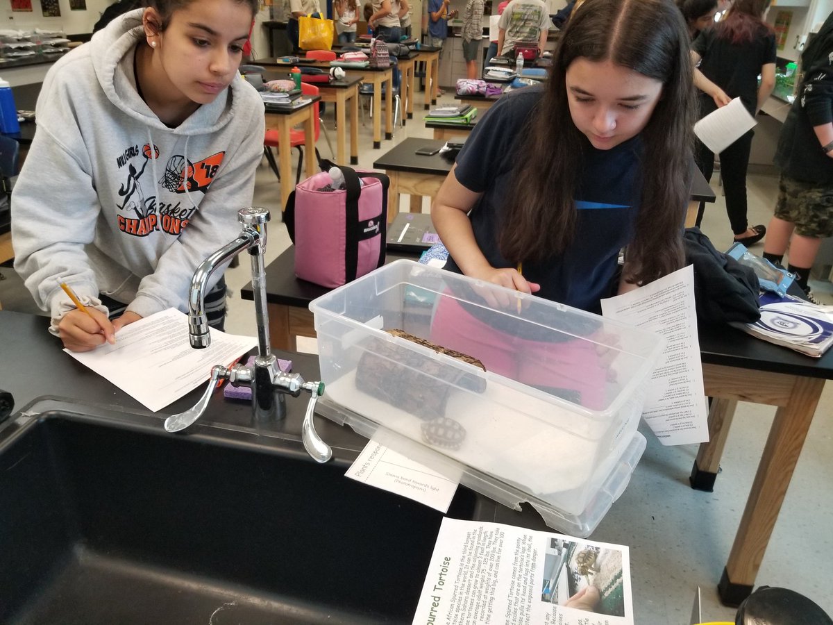 Vicki Thompson tweet media