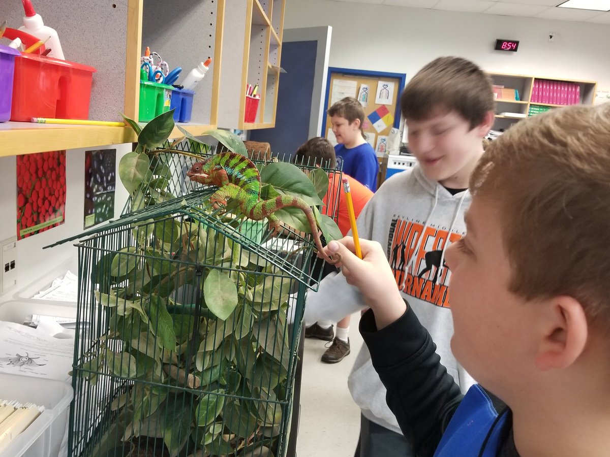 Vicki Thompson tweet media