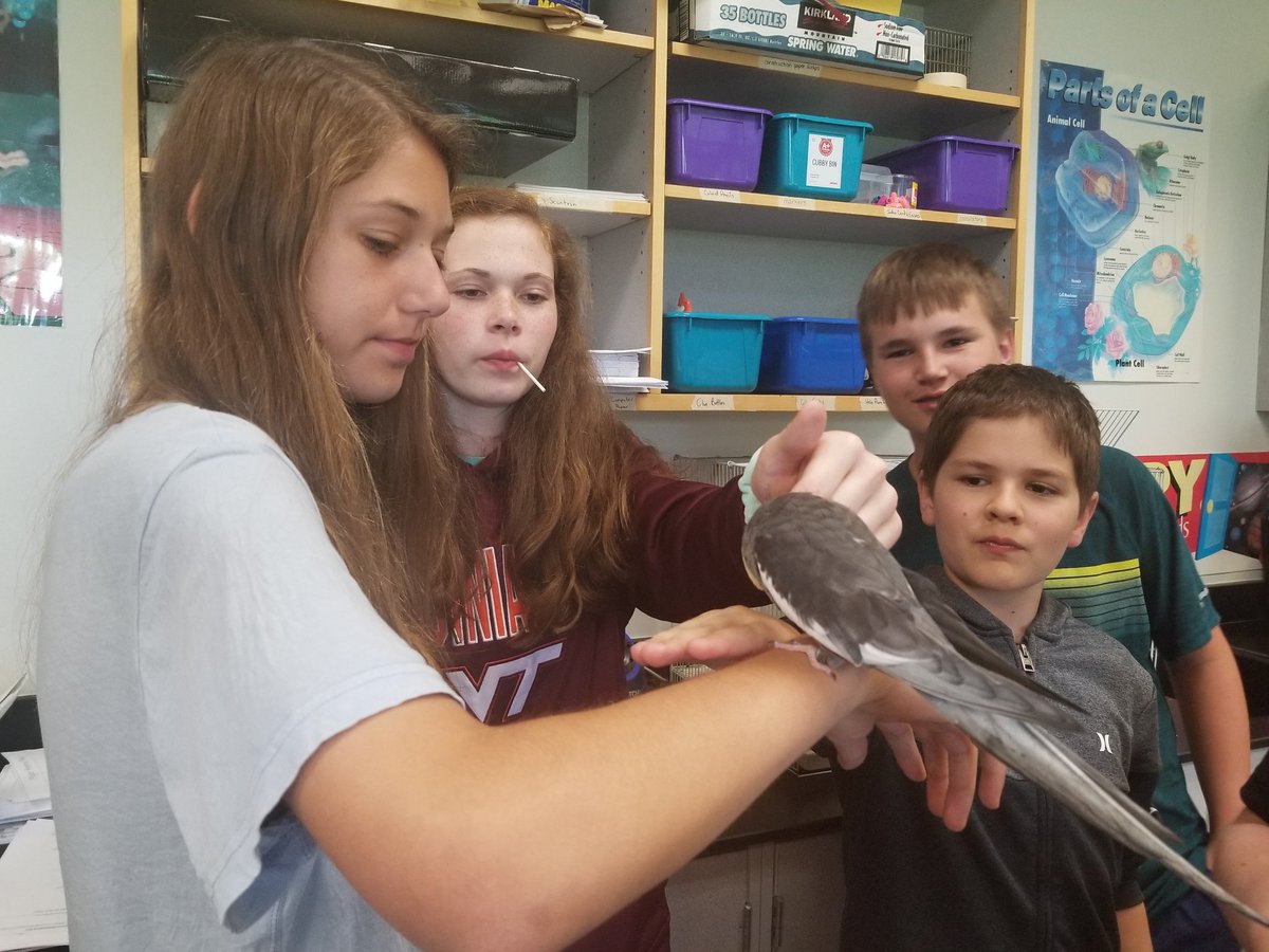 Vicki Thompson tweet media