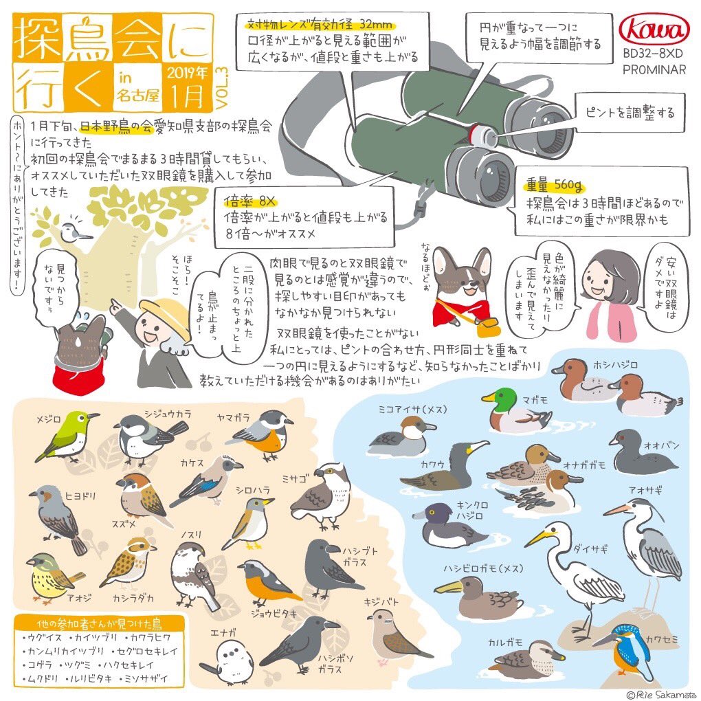 今日から愛鳥週間、バードウィークです。
過去絵ですが、野鳥とコーギーのイラストです??
まずは日本野鳥の会の探鳥会に参加してきた時の体験レポ。花粉と寒さでこもってたけど、暖かくなってきたのでまた参加したい?
#コーギー #イラスト #バードウォッチング #野鳥 #体験レポ #愛鳥週間 
