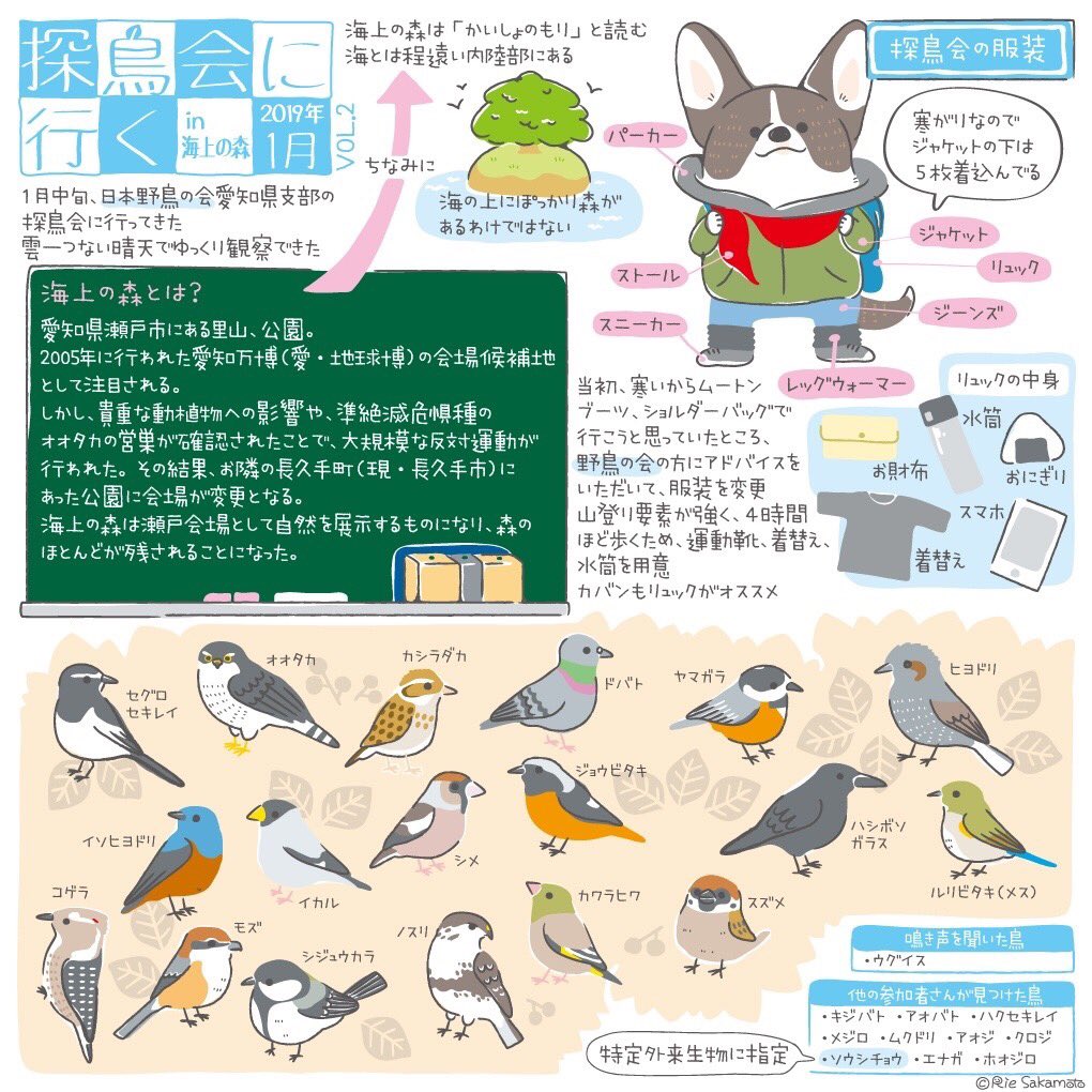 今日から愛鳥週間、バードウィークです。
過去絵ですが、野鳥とコーギーのイラストです??
まずは日本野鳥の会の探鳥会に参加してきた時の体験レポ。花粉と寒さでこもってたけど、暖かくなってきたのでまた参加したい?
#コーギー #イラスト #バードウォッチング #野鳥 #体験レポ #愛鳥週間 