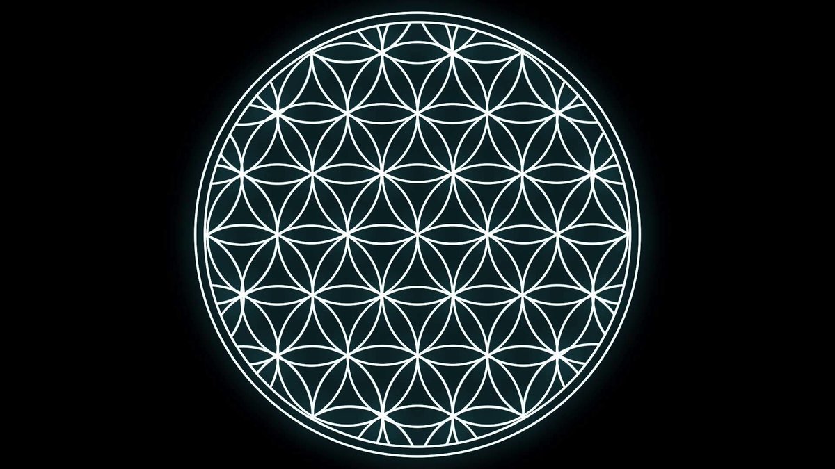 هذا الشكل الهندسي بالصورة يسمونه "زهرة الحياة" ويعتبر رمزًا من رموز  "الهندسة المقدسة"، العجيب ان الشكل وجد في كافة الحضارات القديمة والمخطوطات  والمعابد الأزلية المتفرقة حول العالم، وهذا يطرح تساؤل مُثير، كيف