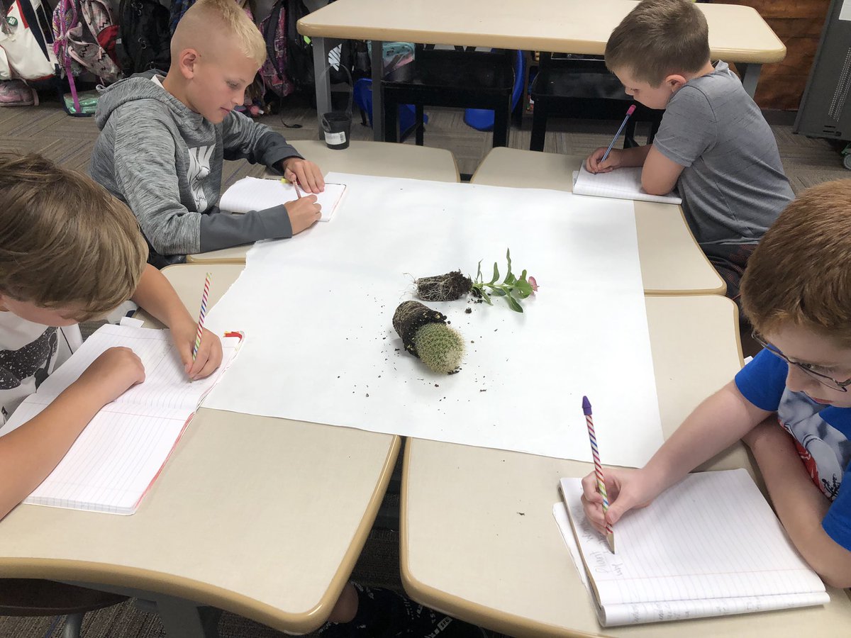 FochtMrs's tweet photo. Exploring plants 🌱 and why they are different. Writing ✍️ down wonderings to explore! #inquiry #funin3rdgrade @Boyer_Elem_PISD @ProsperTMTurner @lerinmcwilliams https://t.co/rYDq6mWDWR