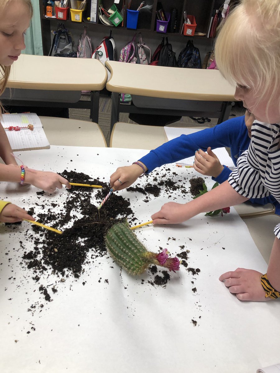 FochtMrs's tweet photo. Exploring plants 🌱 and why they are different. Writing ✍️ down wonderings to explore! #inquiry #funin3rdgrade @Boyer_Elem_PISD @ProsperTMTurner @lerinmcwilliams https://t.co/rYDq6mWDWR