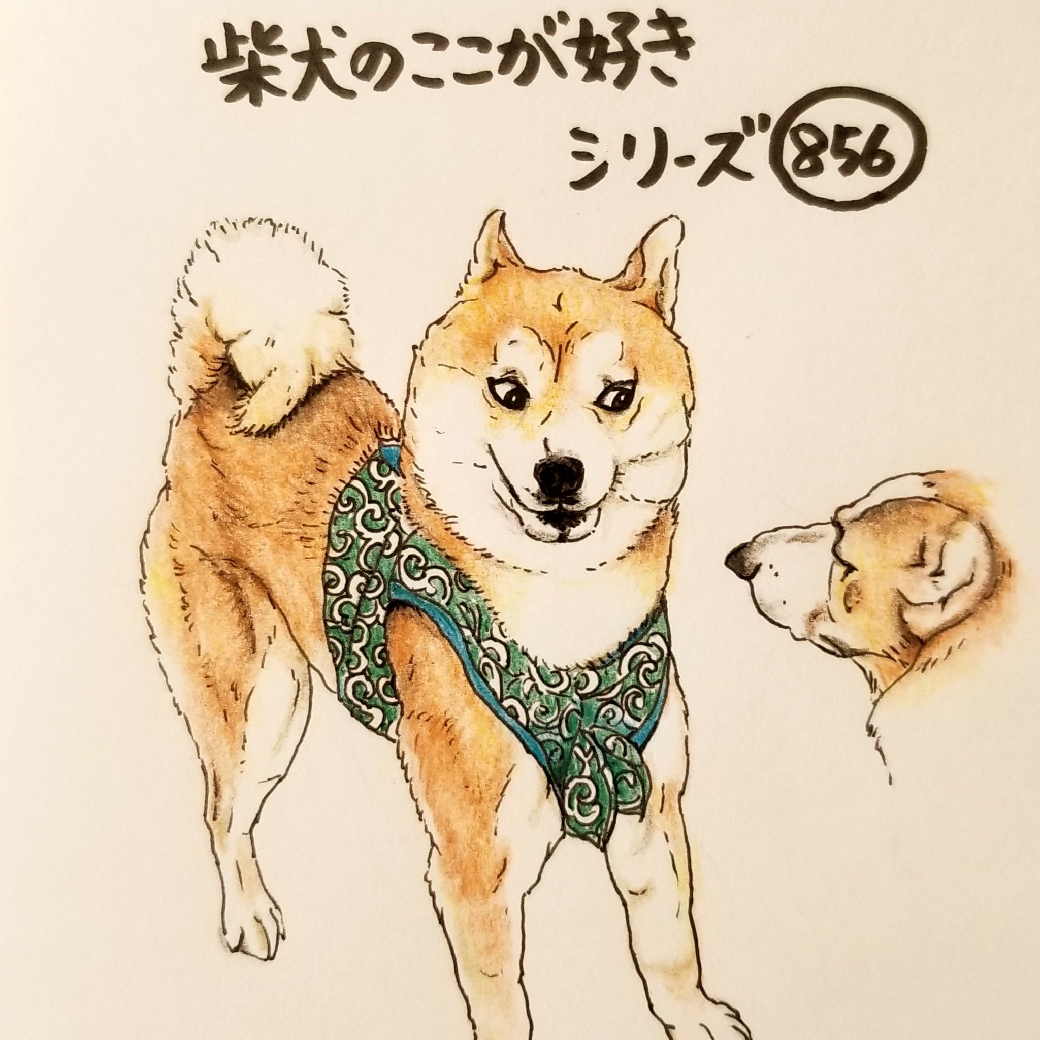 ここ柴 Na Tviteru 驚いたときに アニメになるとこ ディズニーアニメみたいになるよね 柴犬のここが好き ここ柴 ここ柴部 柴犬 イラスト アニメみたいになる柴犬 ここ柴 Na Tviteru 驚いたときに アニメになるとこ ディズニーアニメみたいになるよね 柴犬のここが好き ここ柴 ここ柴部 柴犬 イラスト アニメみたいになる柴犬