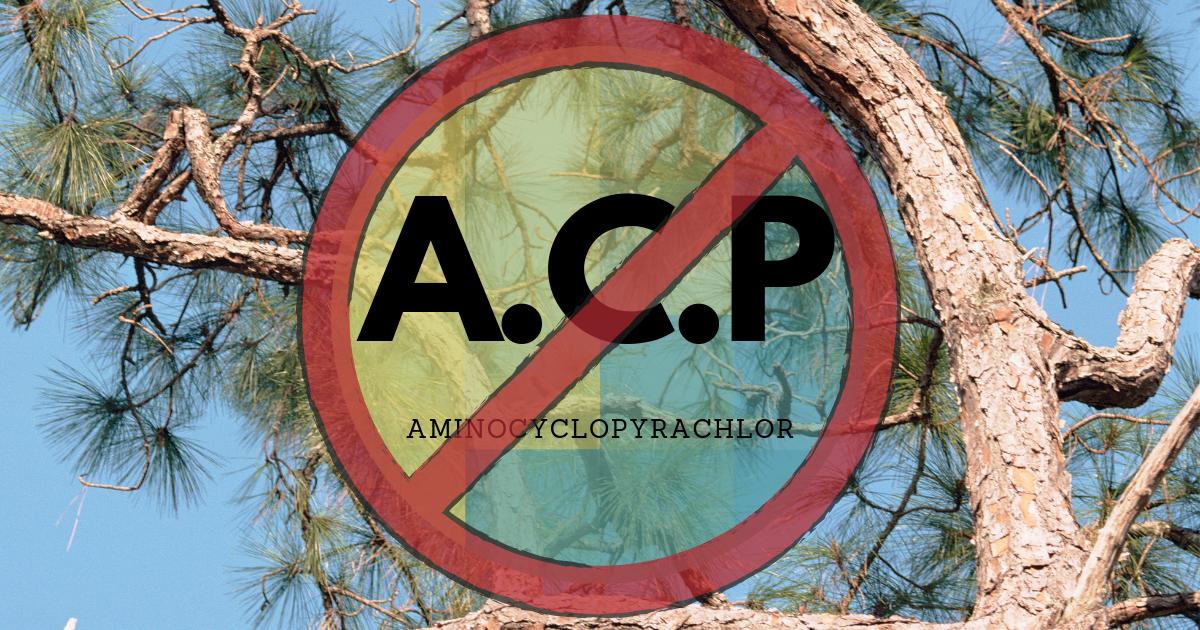 BeyondToxics's tweet image. Oregon just passed the nation's strongest law to regulate ACP, the pesticide that took down 2,000 old-growth Ponderosa pine trees.  This ruling will prevent more losses of old growth trees &amp;amp; their ecosystems! #ACP #orpol
