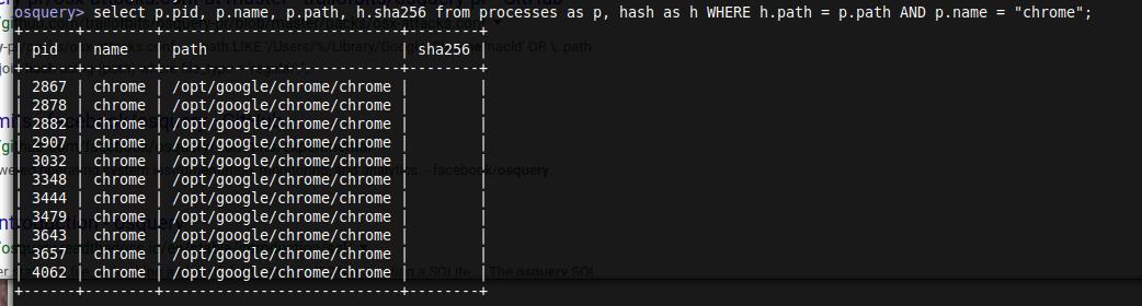 増幅 🏴‍☠️ tweet media