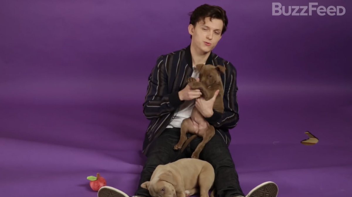 ネタバレを0万回しかけてもマーベル社長に許される世界の孫トム ホランド 可愛いから怒れない 2ページ目 Togetter