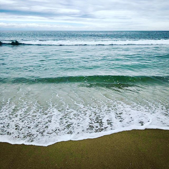 Mark Newhouse tweet media