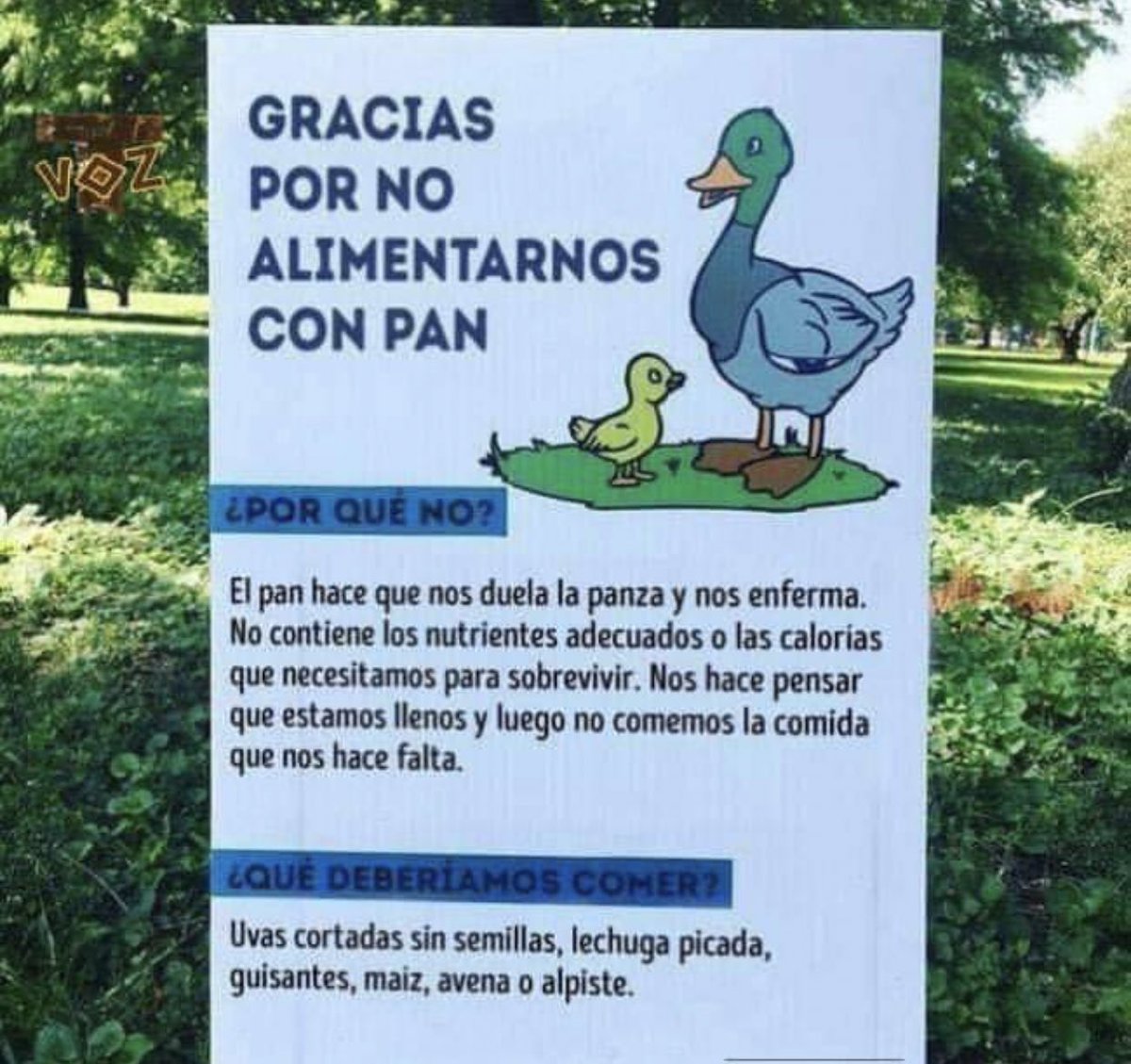 Victor_Martin7's tweet image. Información útil... para el que le gusten los animales