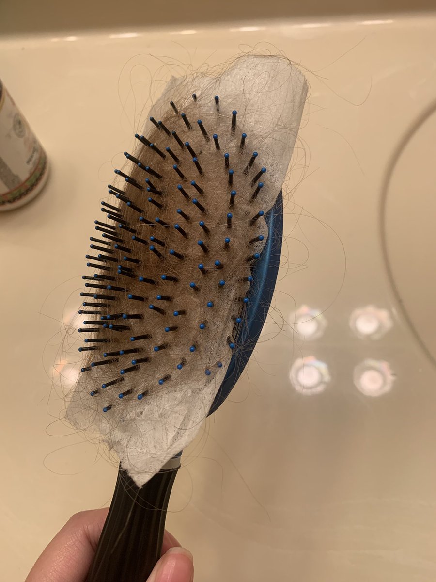 Gina On Twitter Did You Know You Can Cover Your Hair Brush With