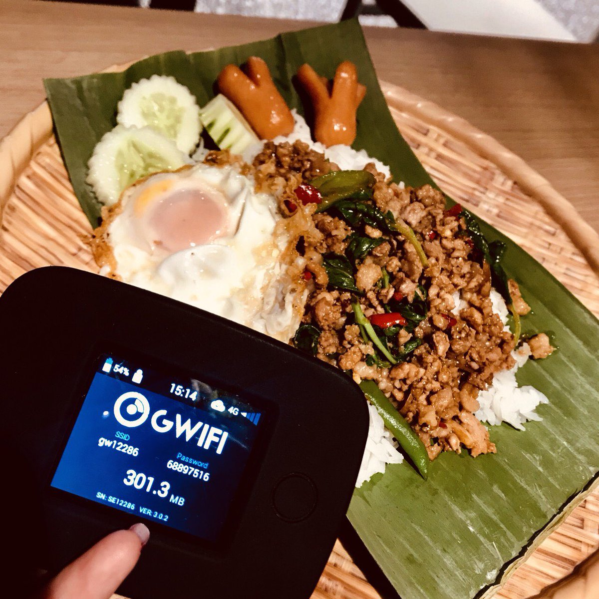 GwifiO's tweet photo. Gwifi with グルメレポート💁‍♀️🍴
タイのガパオ❤
本場は美味しそ〜！！ #gwifi #wifi #レンタルwifi #ワイファイ #無制限 #海外 #旅行 #出張 #インターネット #イイネ返し #フォロー歓迎 #myfi #マイファイ #ゴールデンウィーク #10連休 https://t.co/xfrCGsD8Ht