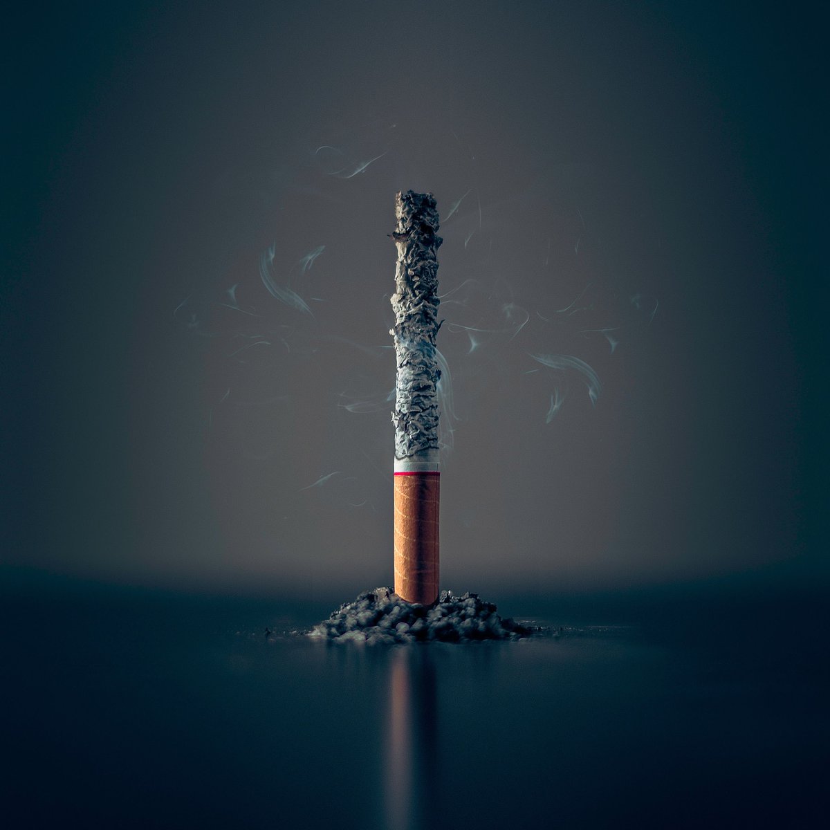 holistiko's tweet photo. La obesidad, depresión 🙁, tabaquismo 🚬 y hasta el alcoholismo 🍺 pueden ser causantes de tu dolor de espalda; al menos así lo aseguran especialistas en el tema. ¿Sabías que esto era posible? 😱
#Enfermedades #Cuidado #Salud #Peligro https://t.co/0SsM0iQYdN