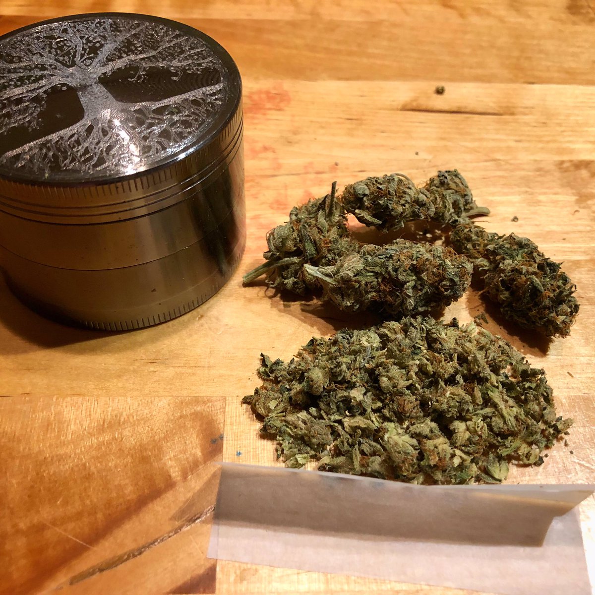 Roll up
.

#cannabiscommunity #marijuana #homegrown #cannabis #weed #growing #organic #cbd #wax #cannabis #earth #cannabisculture #kush #hightimes #smoke #indica #sativa #michigan #puremichigan #plantbased #highlife #dabs #highsociety #stoned #medicalmarijuana #joint #paperplanes