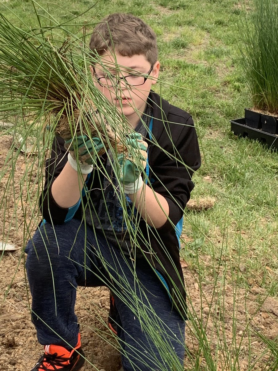 HMMRSJohnson's tweet photo. Today we learned about storm water management and then planted a rain garden. https://t.co/QL2luuDdPX
