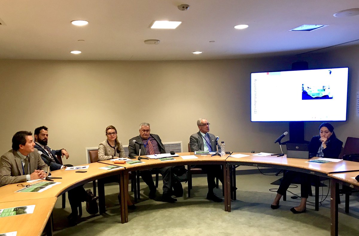 ArmeniaUN's tweet photo. #Armenia🇦🇲 takes part in #UNFF14 panel organized by @IUCN_forests, highlights the role of collaborative action in meeting #deforestation challenge, incl. very successful partnership w/ @ArmeniaTree, interested stakeholders are invited to inaugural #ForestSummit19 in #Yerevan https://t.co/P2BnW3bFZ8
