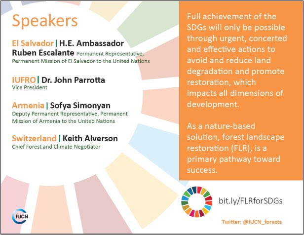 ArmeniaUN's tweet photo. #Armenia🇦🇲 takes part in #UNFF14 panel organized by @IUCN_forests, highlights the role of collaborative action in meeting #deforestation challenge, incl. very successful partnership w/ @ArmeniaTree, interested stakeholders are invited to inaugural #ForestSummit19 in #Yerevan https://t.co/P2BnW3bFZ8
