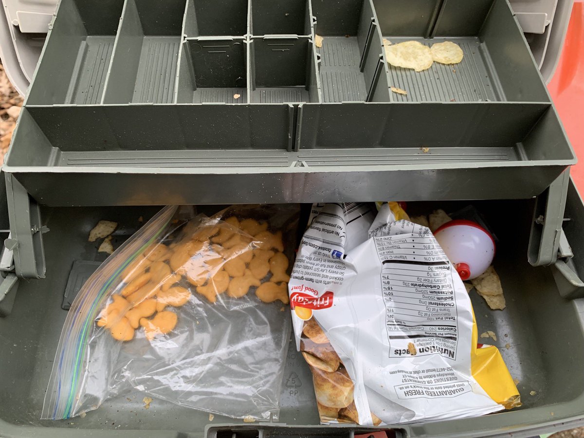 clearcreekdavid's tweet photo. Jayden’s tackle box. #notafisherman #unlessgoldfishcount https://t.co/b4eX6RwHw9