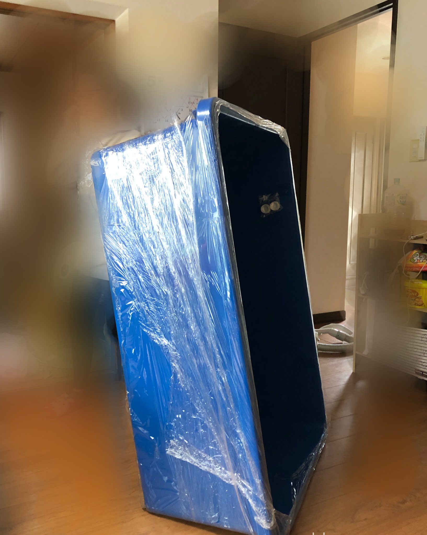 こんちゃん 鯉の大きなお家が届いた 80ｌ 400ｌ に引越し 下敷きはどうしよう ブロックいっぱい買いに行かないとなぁ 錦鯉飼育 錦鯉 お庭でプラ舟400ｌ