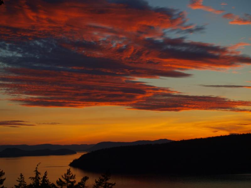 Orcas Island Chamber tweet media