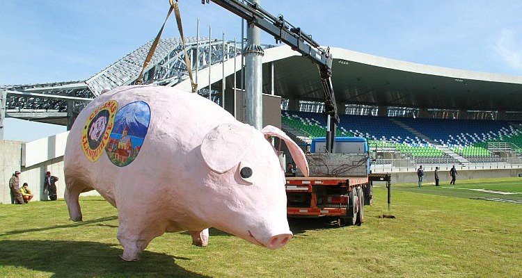dalealbo's tweet photo. @SomosChileRadio Y no podemos hablar del partido sin recordar a Lorenzo, el chancho más famoso del fútbol chileno #DaleAlboRectaFinal https://t.co/Co8xdwgpP3