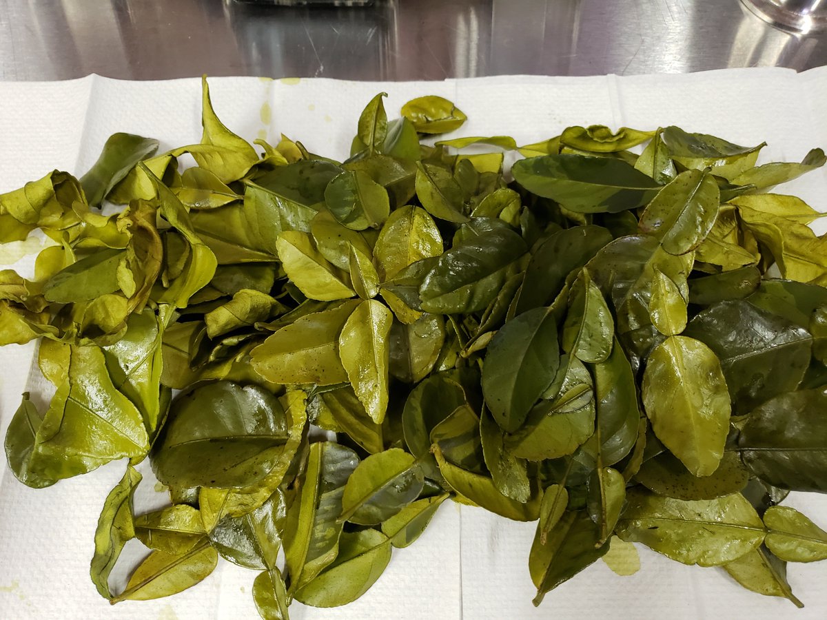 Just did 15,000 cans of a couple RTD cocktails.  Over 100lbs of black tea, few hundred gallons of citrus juice, lots of peeled limes, mint, and more. #RTD #cannedcocktail #blacktea