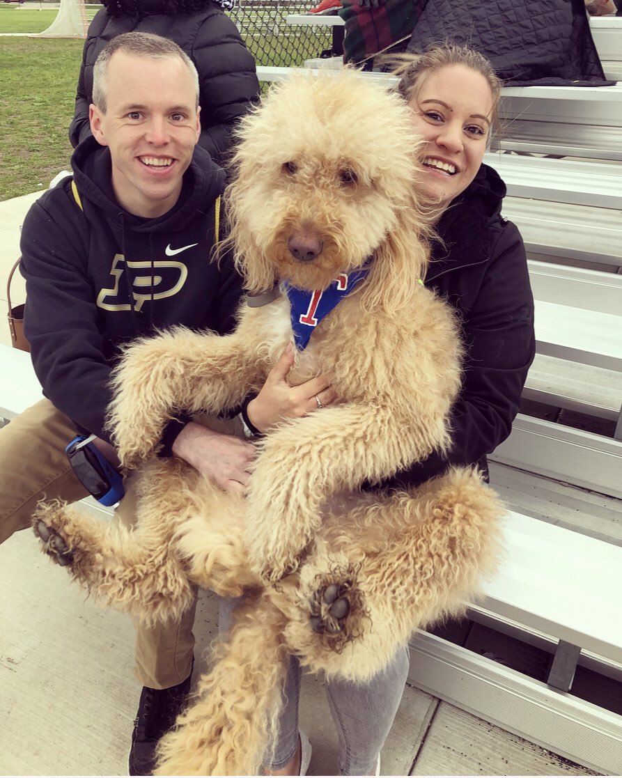 CoachGarringer's tweet photo. I’d like to officially submit Murphy’s application for Tremper High School’s new mascot ⚾️❤️ https://t.co/jYYur6HOoN