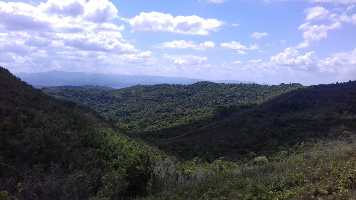 HAC_Cuba's tweet photo. Buenísima expedición a Banao con el colega Oliver Hernández, especialista en conservación del área protegida. Nueva info de varias especies para su categorización. Vamos a por la meta de Cuba #CBD #metasAichi: 80% de la flora categorizada @IUCN.
@planta_cuba
@citmacuba https://t.co/2qXZ648bz8