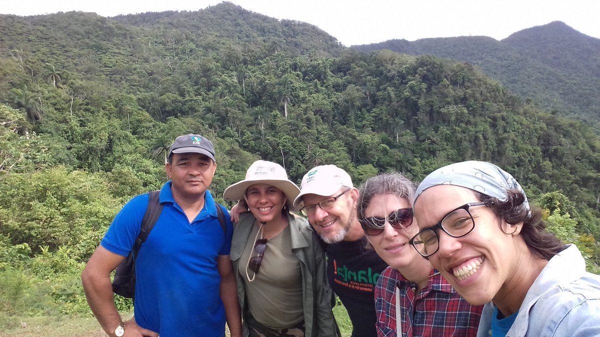 HAC_Cuba's tweet photo. Buenísima expedición a Banao con el colega Oliver Hernández, especialista en conservación del área protegida. Nueva info de varias especies para su categorización. Vamos a por la meta de Cuba #CBD #metasAichi: 80% de la flora categorizada @IUCN.
@planta_cuba
@citmacuba https://t.co/2qXZ648bz8