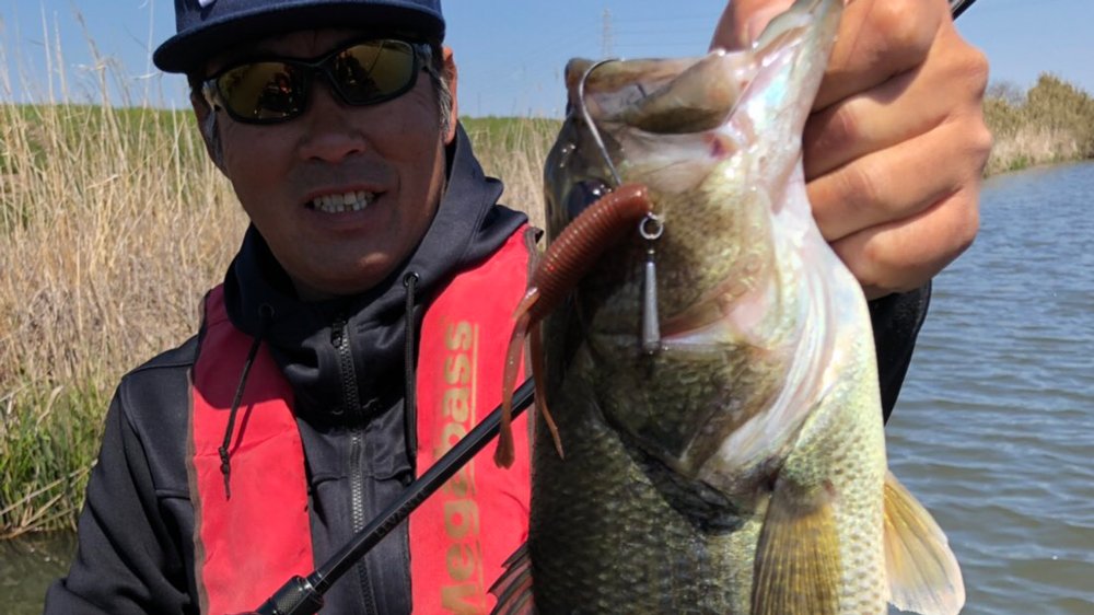 megabass_jp's tweet photo. 【Megabass Blog】霞ヶ浦釣行
Megabass プロスタッフ 盛 隆弘
https://t.co/G2MLTXNn8f
#megabass #mymegabass #lurefishing #sportsfishing #dongpath #sparkshad #バス https://t.co/GpBZT9jwqF
