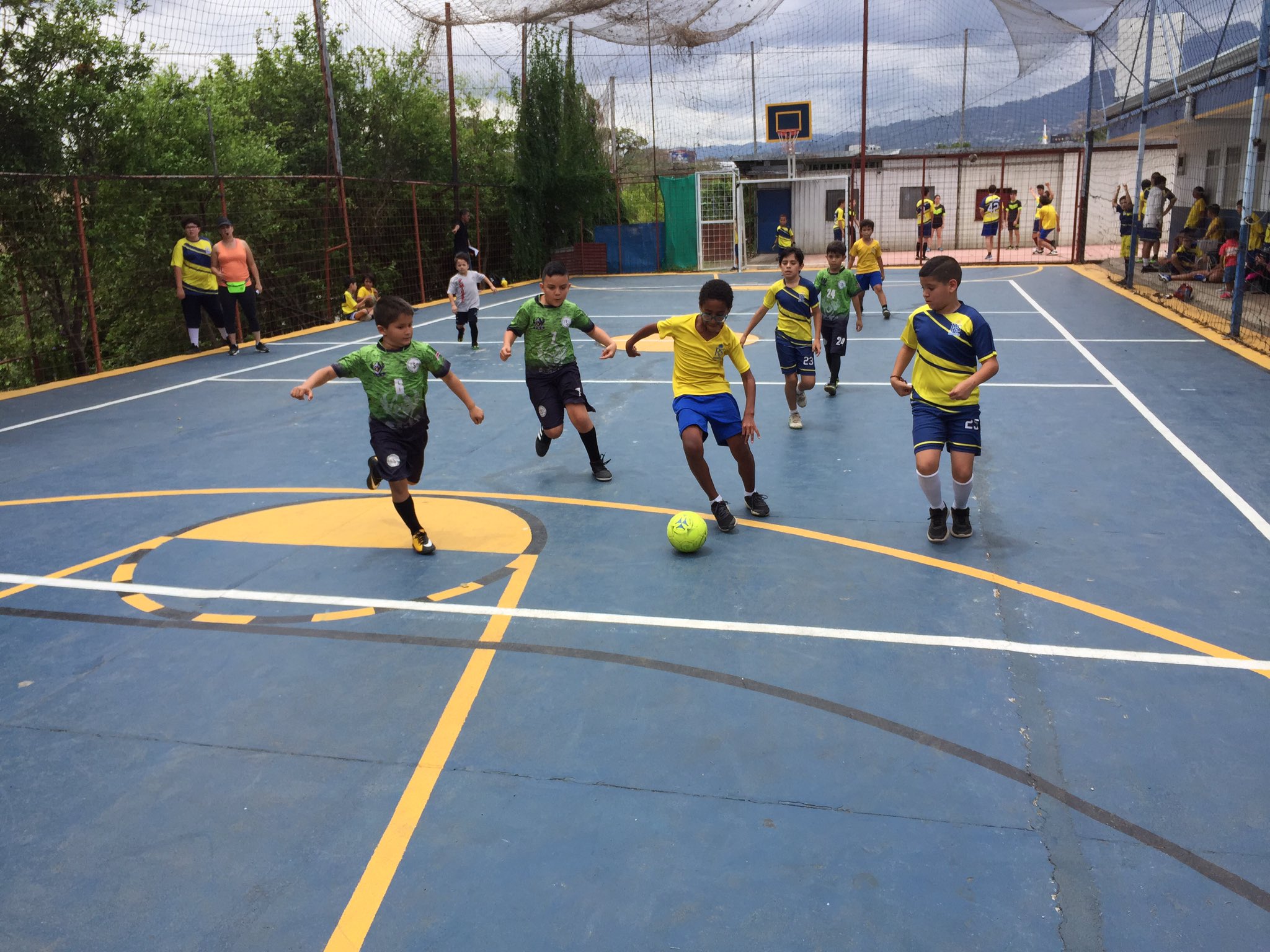 varsity royal 3s grade school