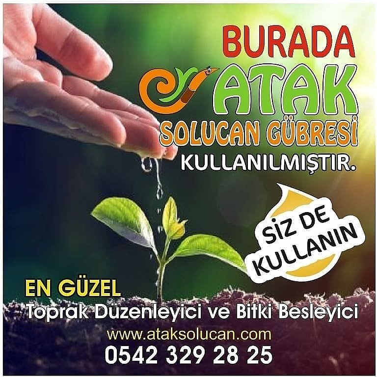 Organik meyve ve sebze üretiminin önemli bir aşaması da solucan gübresi üretimi ve kullanımı... Çarpıcı bir video.. #solucan #solucangübresi #ataksolucan #kırmızıkaliforniyasolucanı #kaliforniyasolucanı  #organic #kazan #kahramankazan #organiktarım

x.com/dw_turkce/stat…