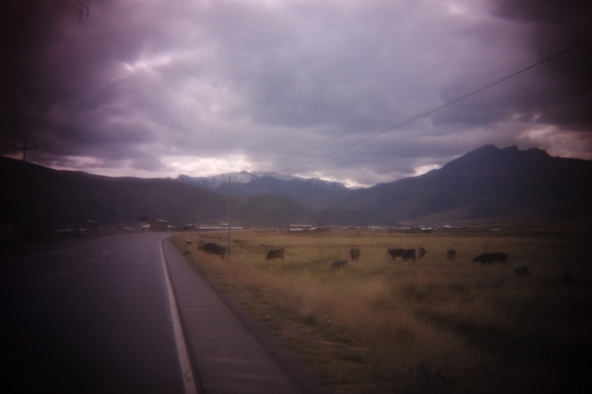 keiththewheelmn's tweet photo. #todaysroad was more Peruvian S3. It was flat until a gentle 400m vertical near the end of the day. I toughed out the climb on my 44x17 free and finished the day camping at the Aqua Caliente hot springs for 2$. #worldcycletour #singlespeedlife #tourPeru https://t.co/pHVkJGI3pg