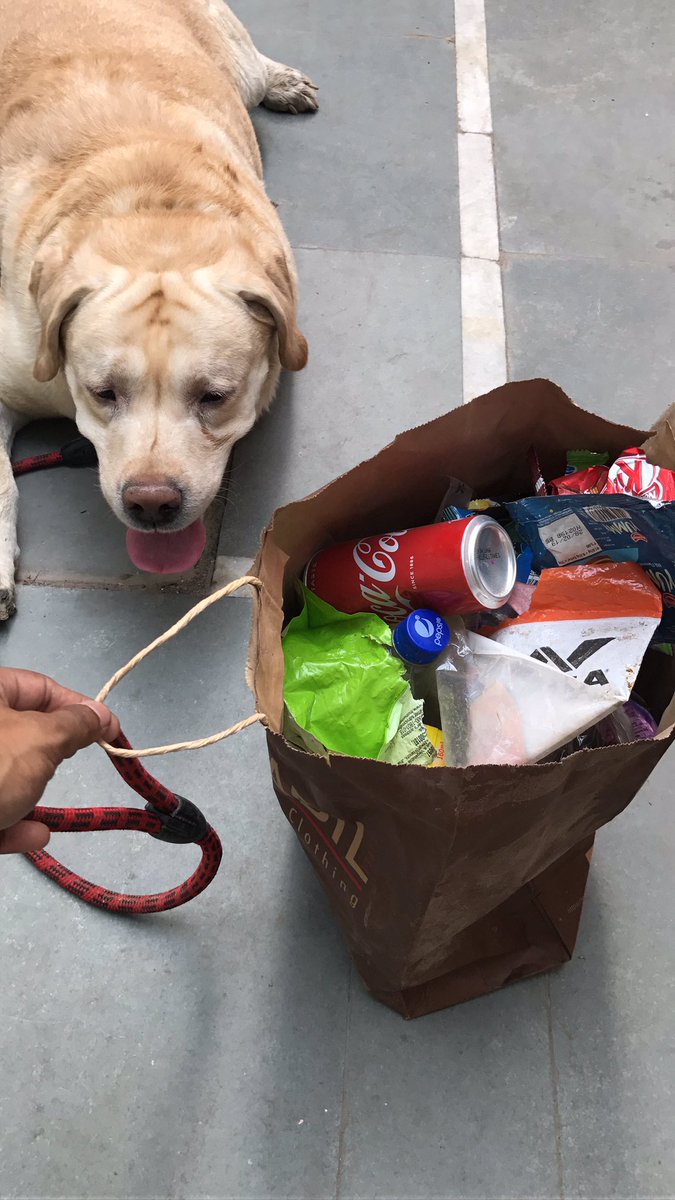 PloggaIndia's tweet image. We picked up one whole bag of trash littered in our colony Chittaranjan Park in Southeast Delhi while walking the dog today. We pick up what we see in front of us, but it&apos;s disheartening to see a lack of dustbins in our colony. That&apos;s basic! #plogging #solvedifferent #plasticfree