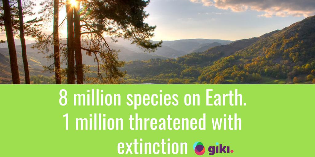 Giki 💚 Think Carbon tweet media