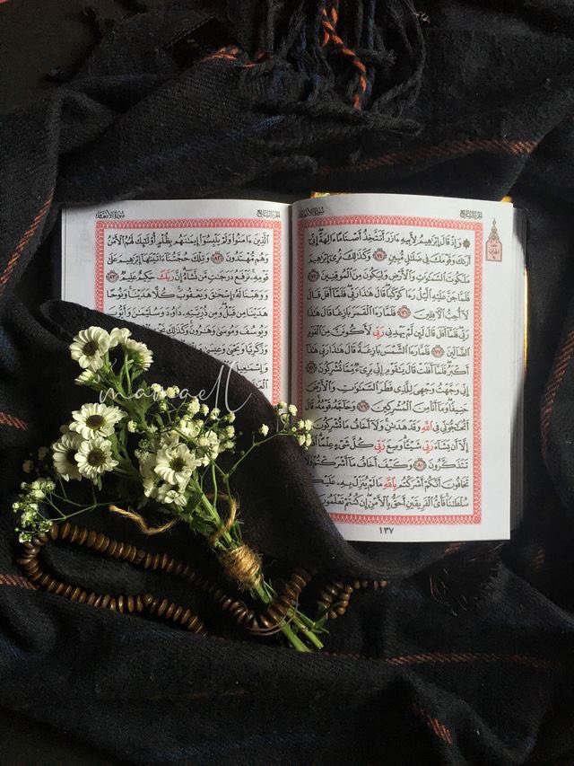 aftar66's tweet photo. دقائقُك المعدودة التي تقلب فيها صفحات
القرآن، هي دقائق اصطفاها الله لك..
ستُحيي بها قلبك، وتُجدد بها حياتك، 
وتُذهب بها همك، وتُسعد بها وقتك..
لا تُهملها 💛🌿. https://t.co/BrI2LJOSVb