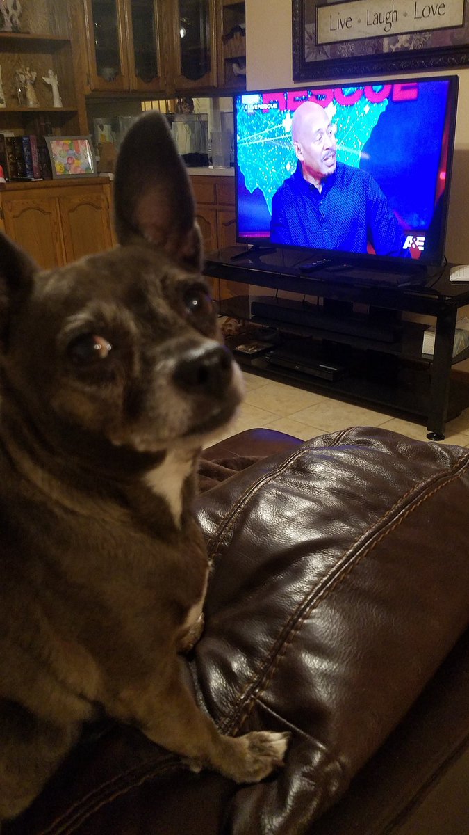 #LiveRescue my Thalia enjoying her new favorite show. 
<a href="/AETV/">A&E</a> <a href="/LiveRescuNation/">#LiveRescueNation</a>