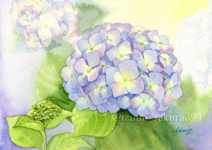 櫻泉 しばらく低浮上 去年の今頃どんな絵描いてましたか 星空 霞む月 紫陽花 紫陽花 はがきサイズに取組中でした 透明水彩 水彩 水彩画 水彩絵を流して水彩民を増やそう ウォーターカラーマーカー ホルベイン 櫻泉 しばらく低浮上 去年の今頃どんな絵描いてましたか 星空 霞む月 紫陽花 紫陽花 はがきサイズに取組中でした 透明水彩 水彩 水彩画 水彩絵を流して水彩民を増やそう ウォーターカラーマーカー ホルベイン